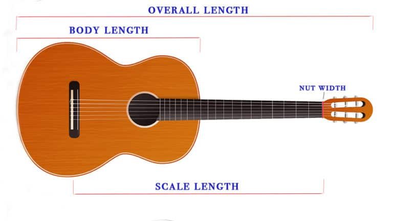 Classical Guitar Sizes A Buyer s Guide Nylon Plucks classical-guitar-sizes-a-buyer-s-guide-nylon-plucks